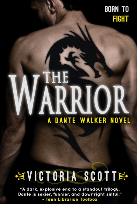 The Warrior Book Cover